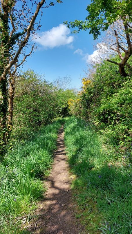 Chemin de randonnée